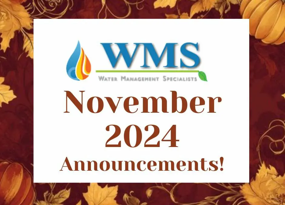WMS Announcements: 11/2024
