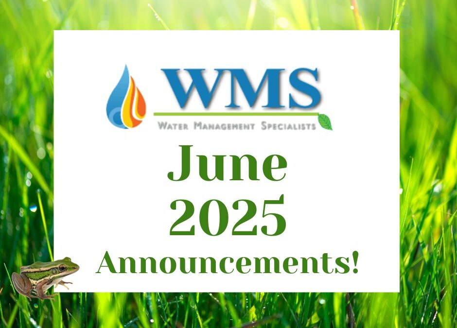 WMS Announcements: 06/2025